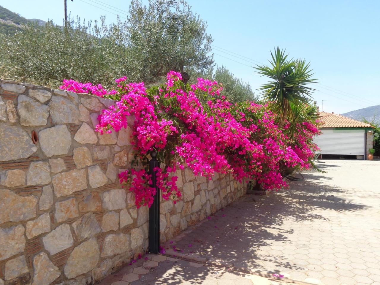 Villa Bamour With Paradise View Epidaurus Экстерьер фото